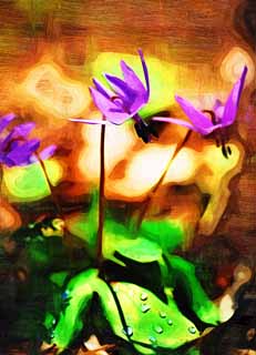 illust, material, livram, paisagem, quadro, pintura, lpis de cor, creiom, puxando,Japons co do dente flores violeta, Erythronium, , Ken Kyoko, 