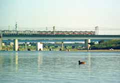 Foto, materieel, vrij, landschap, schilderstuk, bevoorraden foto,Bedroevend namiddag van een eende, Rivier, Trein, Wateroppervlak, 