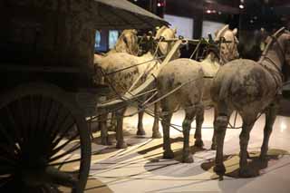 Foto, materiell, befreit, Landschaft, Bild, hat Foto auf Lager,Bronze Chariot und Pferde im Mausoleum des ersten Kaisers Qin, Von Pferden gezogenes Kupfer, Alte Leute, Gruft, Welterbe