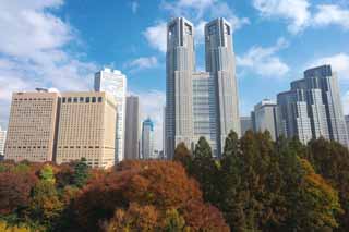 Foto, materiell, befreit, Landschaft, Bild, hat Foto auf Lager,Tokyo Metropolitan Government, Hochhaus, Subcenter, Tokyo weltstdtische Regierung, Gebude