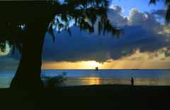 Foto, materiell, befreit, Landschaft, Bild, hat Foto auf Lager,Tropischer Abend, das Setzen von Sonne, Wolke, Baum, 