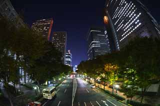 Foto, materieel, vrij, landschap, schilderstuk, bevoorraden foto,Shinjuku bij nacht, Hoog, Subcenter, Avond Scne, Gebouw