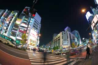 ,,, ,,,Shinjuku  ,  .,  ., , 