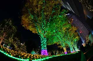 Foto, materieel, vrij, landschap, schilderstuk, bevoorraden foto,Shinjuku bij nacht, Wandelwegen, Maak van het jaar af, RANBURINGUTERASU, Illuminering