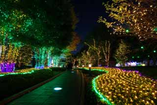 Foto, materieel, vrij, landschap, schilderstuk, bevoorraden foto,Shinjuku bij nacht, Wandelwegen, Maak van het jaar af, RANBURINGUTERASU, Illuminering