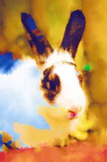 illust, matire, libre, paysage, image, le tableau, crayon de la couleur, colorie, en tirant,Un lapin, Lapin, , Btail, 