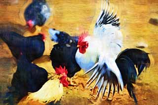 illustration,material,free,landscape,picture,painting,color pencil,crayon,drawing,Chicken, NIWATORI, Chicken, , Realgar