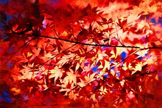 illust, matire, libre, paysage, image, le tableau, crayon de la couleur, colorie, en tirant,Rouge  la fin de l'automne, Feuilles de l'automne, rable, rables, Couleur