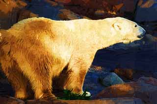 illust, materiale, libero panorama, ritratto dipinto, matita di colore disegna a pastello, disegnando,Orso polare, , Orso polare, SHIROKUMA, Specie in via d'estinzione