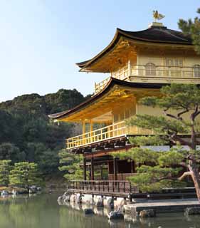 fotografia, material, livra, ajardine, imagine, proveja fotografia,Golden Temple reliquary Pavilho Municipal, Herana mundial, Pavilho dourado, Ashikaga Yoshimitsu, Kyoto