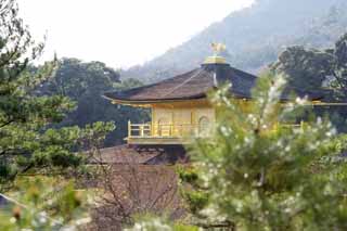 photo,material,free,landscape,picture,stock photo,Creative Commons,Golden Pavilion Temple reliquary hall, World Heritage, Golden Pavilion, Ashikaga Yoshimitsu, Kyoto