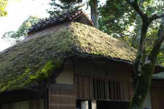 fotografia, materiale, libero il panorama, dipinga, fotografia di scorta,YUKA nel padiglione Kinkakuji, Eredit di Mondo, Padiglione dorato, T, Kyoto