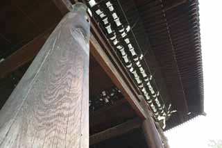 photo,material,free,landscape,picture,stock photo,Creative Commons,Chionin Main Gate, Buddhism, , Japan's three Daimon, Zen temple