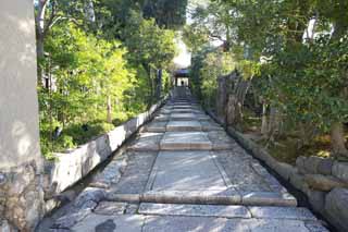 fotografia, materiale, libero il panorama, dipinga, fotografia di scorta,Tempio Kodaiji approccio, .., Pendio di cucina, Mausoleo, Tempio di setta Zen