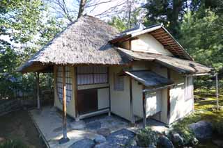 Foto, materiell, befreit, Landschaft, Bild, hat Foto auf Lager,Fang Kodaiji Tempel beibehalten Hermitage, , Yoshino Tayuu, Teezeremonie, 