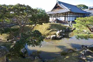 photo,material,free,landscape,picture,stock photo,Creative Commons,Kodaiji Temple Gardens, , , Full moon units, 