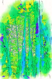 illust, matire, libre, paysage, image, le tableau, crayon de la couleur, colorie, en tirant,Bamboo, Herbe du bambou, Bambou, Section, Green