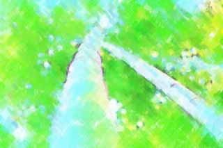 illust, matire, libre, paysage, image, le tableau, crayon de la couleur, colorie, en tirant,Histoire de bambou, Herbe du bambou, Bambou, Section, Green