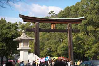 Foto, materiell, befreit, Landschaft, Bild, hat Foto auf Lager,Ansatz Torii in Kashihara-Schrein, Schintoismus, , Chroniken von Japan, Kojiki