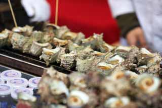 photo,material,free,landscape,picture,stock photo,Creative Commons,Turban shells of shellfish cooked in its own shell stalls, Seafood, Delicious, Pot roast, Festivities