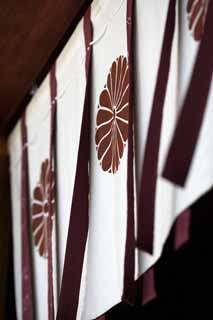 photo,material,free,landscape,picture,stock photo,Creative Commons,Gate Curtain in Kashihara Shrine, Shinto, , Chronicles of Japan, Kojiki