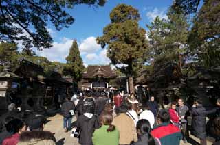 fotografia, materiale, libero il panorama, dipinga, fotografia di scorta,Kitano Tenman-gu santuario approccio, Cancelli Sankou, Sig.. TENJIN, Kitano, Susine