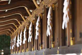 fotografia, materiale, libero il panorama, dipinga, fotografia di scorta,Kitano Tenman-gu santuario statua di Cow, Bestiame bovino, Sig.. TENJIN, Kitano, Susine