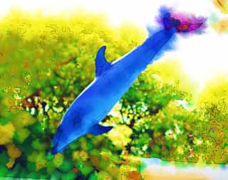 illustration,material,free,landscape,picture,painting,color pencil,crayon,drawing,Dolphin jump, IRUKA, , Shows, Fillet