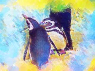 illust, , , , , ,  ,  , ., ,  Ginga, Penguin, , 