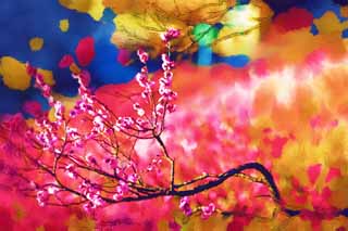 illust, materiell, befreit, Landschaft, Bild, Gemlde, Farbbleistift, Wachsmalstift, Zeichnung,,Plum Orchard's Plum Red Flower, UME, Pflaumen, Pflaume, Zweig