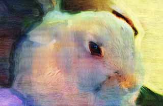 illust, material, livram, paisagem, quadro, pintura, lpis de cor, creiom, puxando,Bunny, Coelho, , , Curando