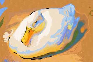 illust, matire, libre, paysage, image, le tableau, crayon de la couleur, colorie, en tirant,Canards, AHIRU, Canards, Canard, Blanc