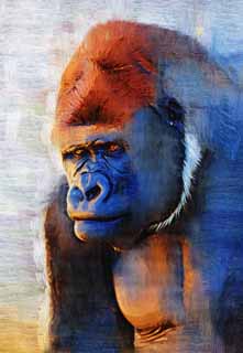 illust, material, livram, paisagem, quadro, pintura, lpis de cor, creiom, puxando,Gorilla, Eles GORI, Gorila, Hominid, Silverback