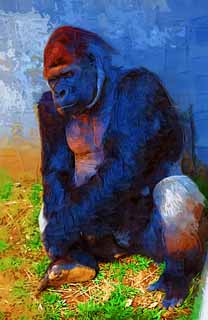 illustration,material,free,landscape,picture,painting,color pencil,crayon,drawing,Gorilla, They GORI, Gorilla, Hominid, Silverback