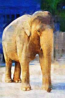 illust, materiale, libero panorama, ritratto dipinto, matita di colore disegna a pastello, disegnando,Elefante asiatico, L'elefante, Elefante, , Naso lungo