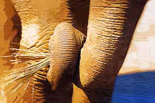 illust, materiale, libero panorama, ritratto dipinto, matita di colore disegna a pastello, disegnando,Elefante asiatico il naso pulito, L'elefante, Elefante, , Naso lungo