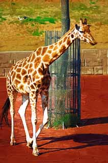 illust, material, livram, paisagem, quadro, pintura, lpis de cor, creiom, puxando,Reticulatad girafa, Wonder, Girafa, Kylin, Pescoo longo