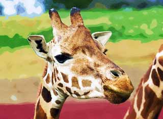 illust, materiell, befreit, Landschaft, Bild, Gemlde, Farbbleistift, Wachsmalstift, Zeichnung,,Reticulatad Giraffe, Wonder, Giraffe, Kylin, Lang Hals