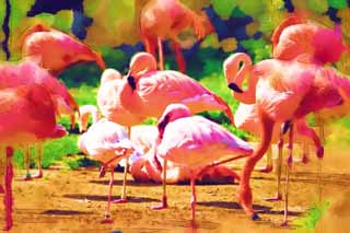 illust, matire, libre, paysage, image, le tableau, crayon de la couleur, colorie, en tirant,Un flamant rose, Flamant rose, Une jambe, Salez le lac, Pourpre