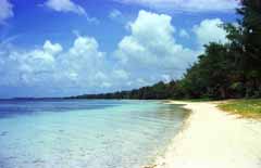 fotografia, materiale, libero il panorama, dipinga, fotografia di scorta,Paradiso tropicale, spiaggia sabbiosa, blu, nube, 