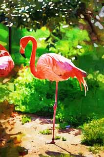 illust, matire, libre, paysage, image, le tableau, crayon de la couleur, colorie, en tirant,Un flamant rose, Flamant rose, Une jambe, Salez le lac, Pourpre