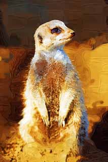 illustration,material,free,landscape,picture,painting,color pencil,crayon,drawing,Meerkat, Warning, TIMON, Meerkat, Small animals