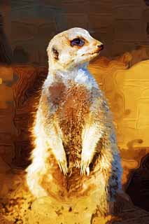 illust, matire, libre, paysage, image, le tableau, crayon de la couleur, colorie, en tirant,Meerkat, Prvenir, TIMON, Meerkat, Petits animaux