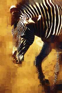 illust, material, livram, paisagem, quadro, pintura, lpis de cor, creiom, puxando,Grevy da zebra, Zebra, , Pastando animal, Raiado