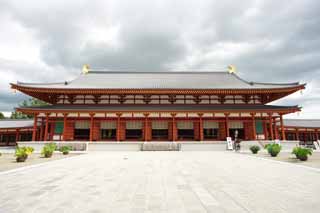 photo,material,free,landscape,picture,stock photo,Creative Commons,Yakushi-ji Temple grand hall, I am painted in red, The Buddha of Healing, Buddhist monastery, Chaitya