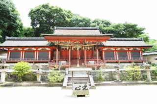 photo,material,free,landscape,picture,stock photo,Creative Commons,Yakushi-ji Temple, I am painted in red, Local deity Corporation, Hideyori Toyotomi, Shinto shrine