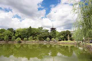 Foto, materiell, befreit, Landschaft, Bild, hat Foto auf Lager,Ein Teich von Sarusawa, Weide, Teich, Nara-koen-Park, Touristenattraktion