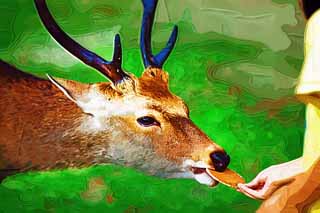 illust, matire, libre, paysage, image, le tableau, crayon de la couleur, colorie, en tirant,Un biscuit sal du riz du cerf, , cerf, nourrir, biscuit sal du riz du cerf