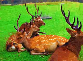 illustration,material,free,landscape,picture,painting,color pencil,crayon,drawing,A deer of Nara, , deer, , horn
