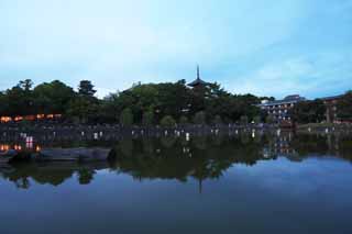 photo,material,free,landscape,picture,stock photo,Creative Commons,A pond of Sarusawa, willow, pond, Nara-koen Park, tourist attraction